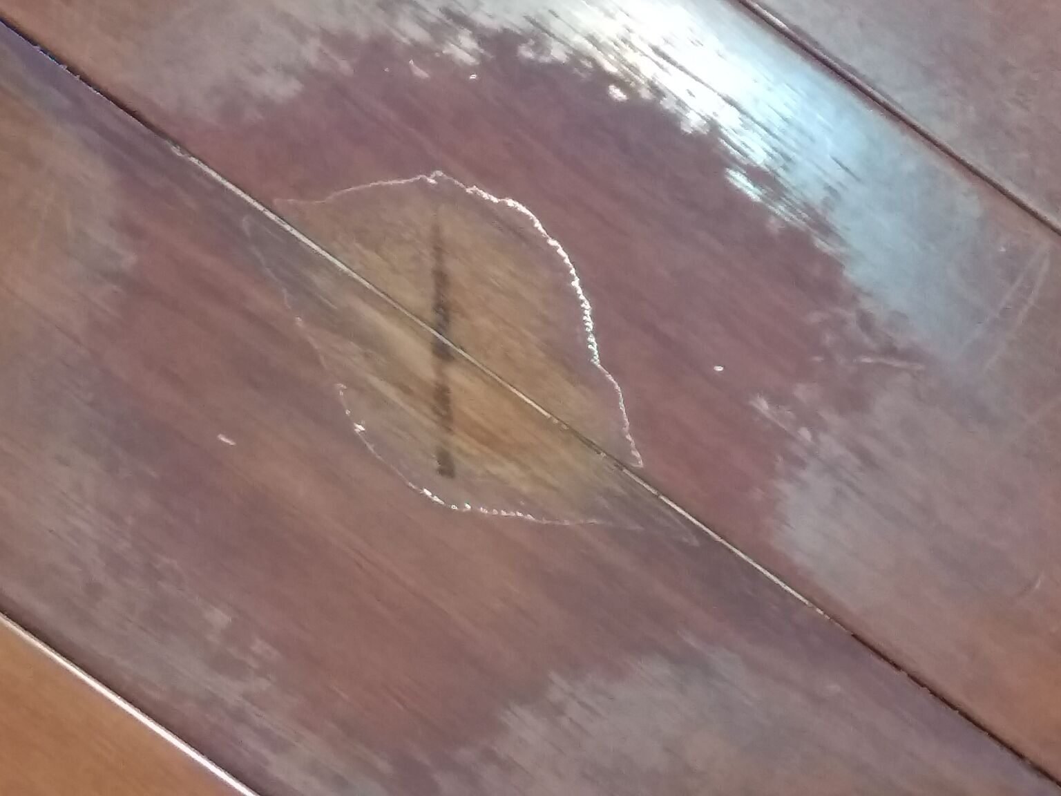 Best Scratchproof Waterproof Floor