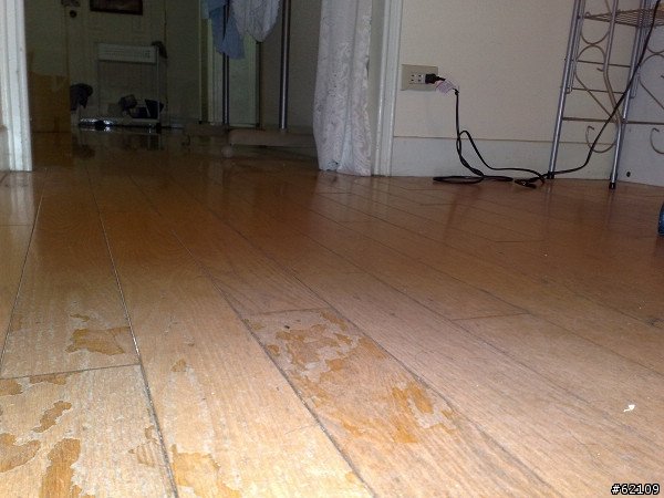 Best Scratchproof Waterproof Floor