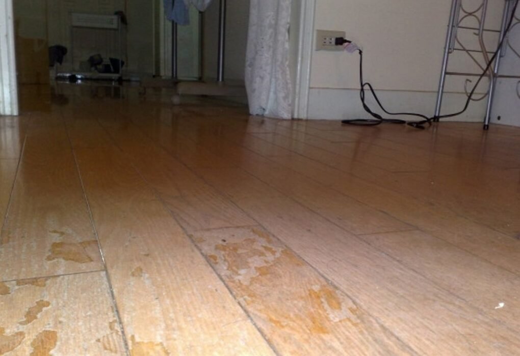 Living in a Hot & Humid Climate? Here’s Why You Need a Scratchproof Waterproof Floor in Every Room!