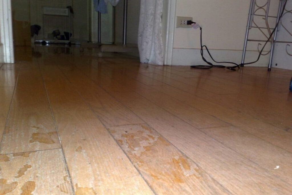 Living in a Hot & Humid Climate? Here’s Why You Need a Scratchproof Waterproof Floor in Every Room!