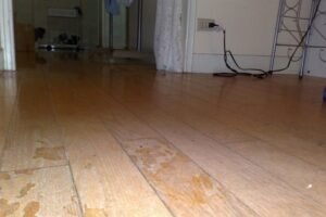 Living in a Hot & Humid Climate? Here’s Why You Need a Scratchproof Waterproof Floor in Every Room!