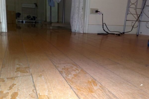Living in a Hot & Humid Climate? Here’s Why You Need a Scratchproof Waterproof Floor in Every Room!