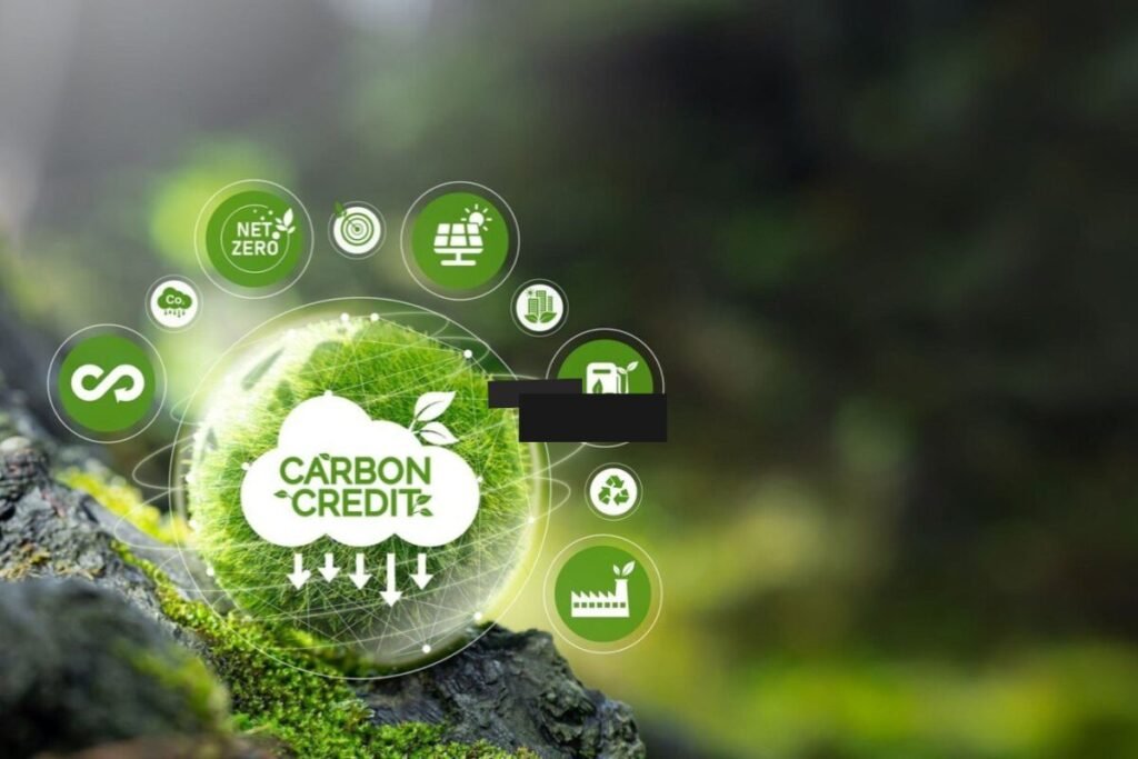 Why small businesses are actually looking into Carbon Credit Malaysia