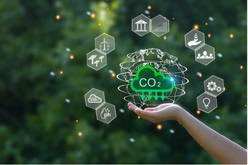 Why everyone in Malaysia is suddenly talking about what is a carbon credit
