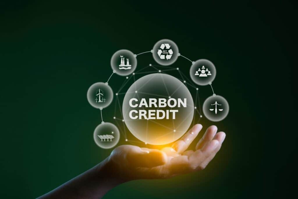Afraid of Buying “Fake Carbon”?