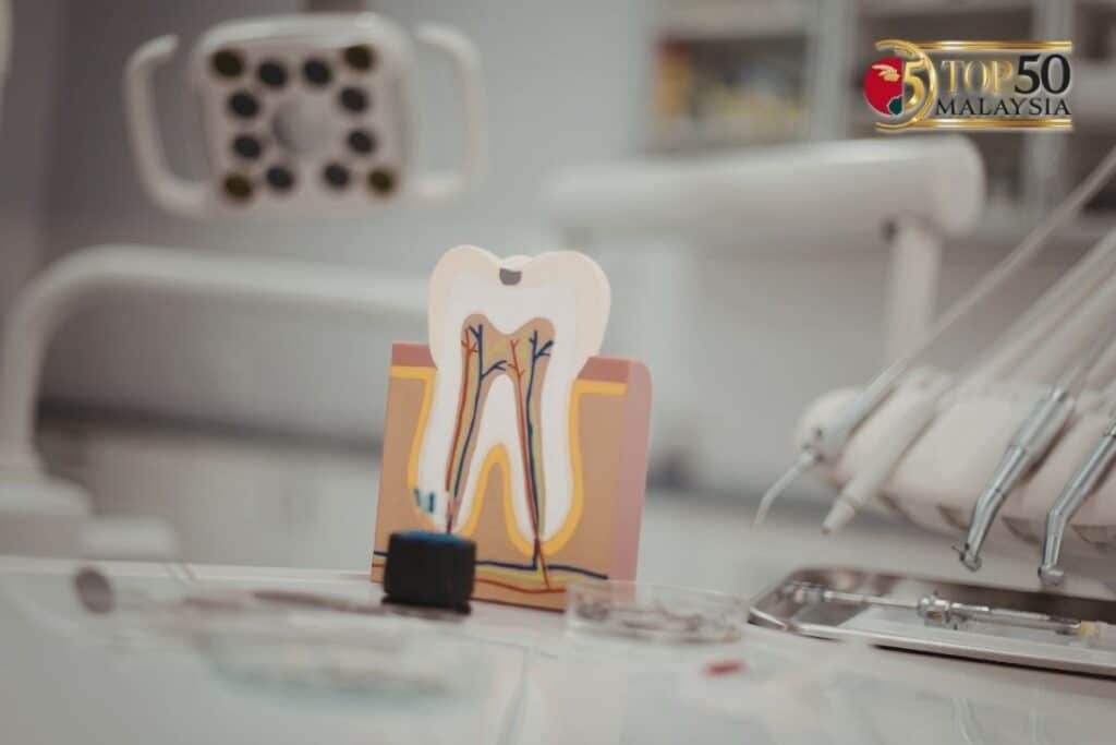 Guide to CHAS Blue Card Dental Benefits