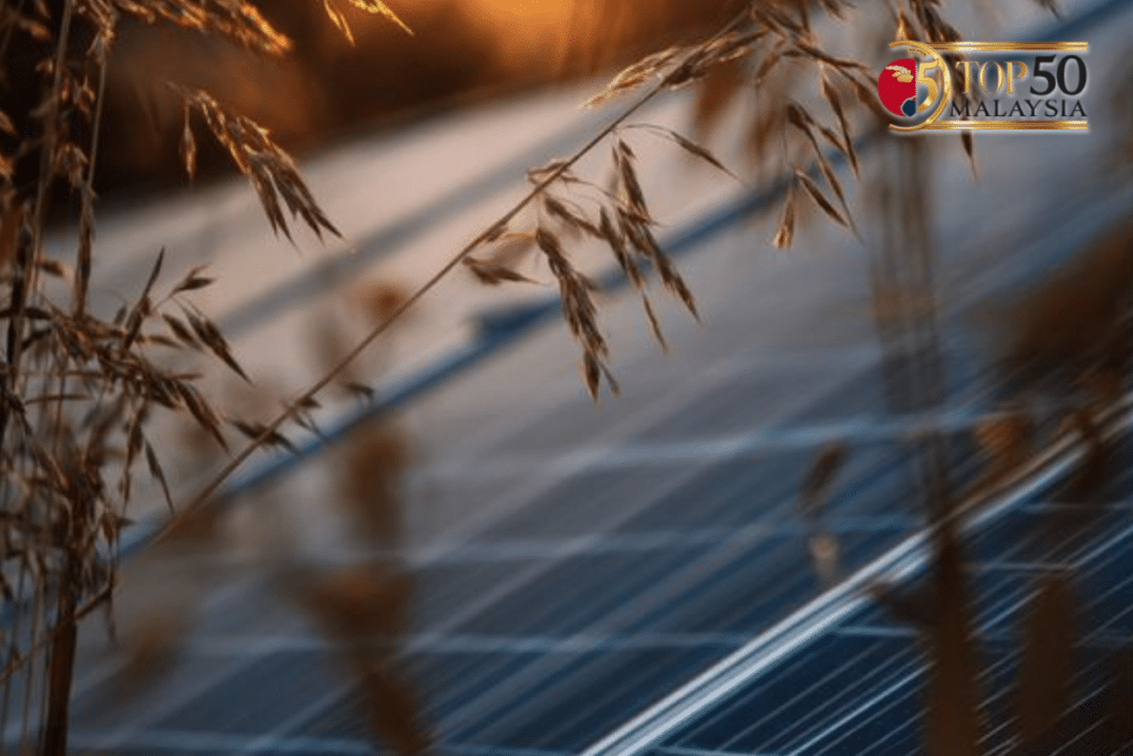 Malaysia Factory Solar Storage Success Story: JanaBina’s Integrated Approach to Industrial Energy Savings